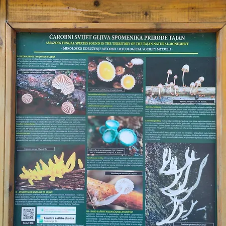 Villa Kamenica Zavidovici